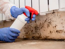 Big River, CA Mold Removal & Remediation Company